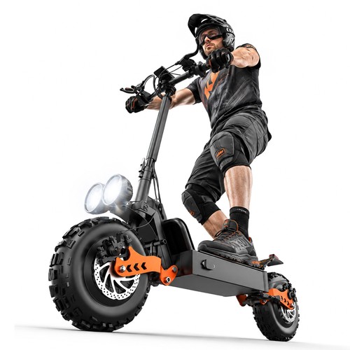 Dual motor adult electric - dual,