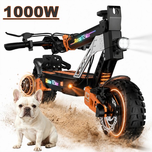 Off road electric - 10",